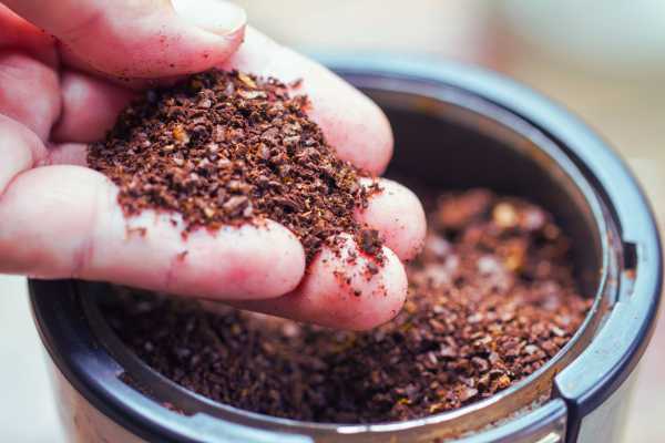 Adding Coffee Grounds to Food