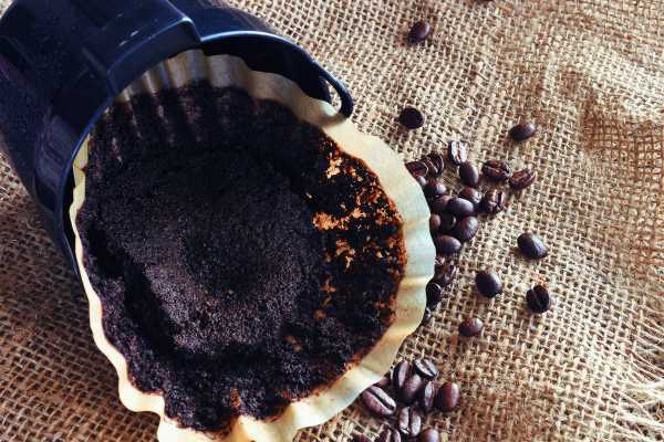 Uses of Coffee Grounds